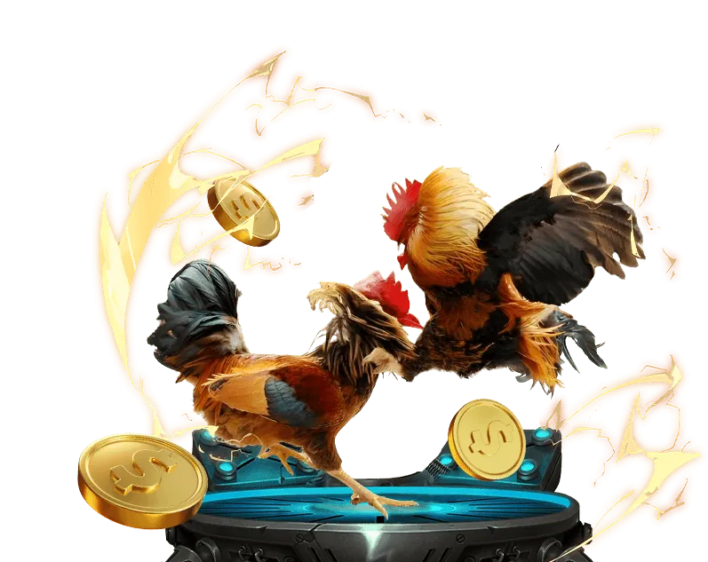 Cam kết của code new88 về cá cược có trách nhiệm